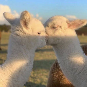 Meet your Posher, Katherine